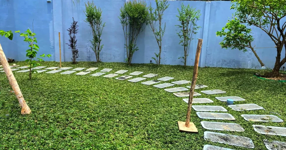 Trồng cỏ sân vườn trọn gói