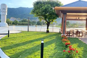 Trồng cỏ Paspalum