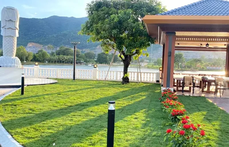 Trồng cỏ Paspalum
