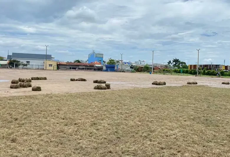 minkhoa2 minkhoa2