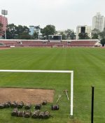Trồng cỏ tự nhiên Paspalum sân Thống Nhất